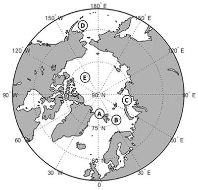 Mixotrophic Plankton in the Polar Seas: A Pan-Arctic Review